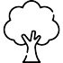 Tree of life Icon